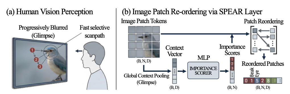 SPEAR: Sorting-based Permuted Embedding Architecture for Recognition